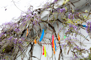 Glicine colorato in un'officina di Mulhouse